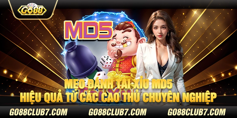 Mẹo đánh tài xỉu MD5 hiệu quả từ các cao thủ chuyên nghiệp