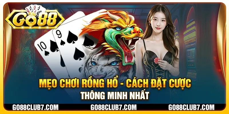 Mẹo chơi Rồng Hổ - Cách đặt cược thông minh nhất