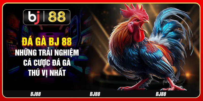 Đá Gà BJ 88 - Những Trải Nghiệm Cá Cược Đá Gà Thú Vị Nhất