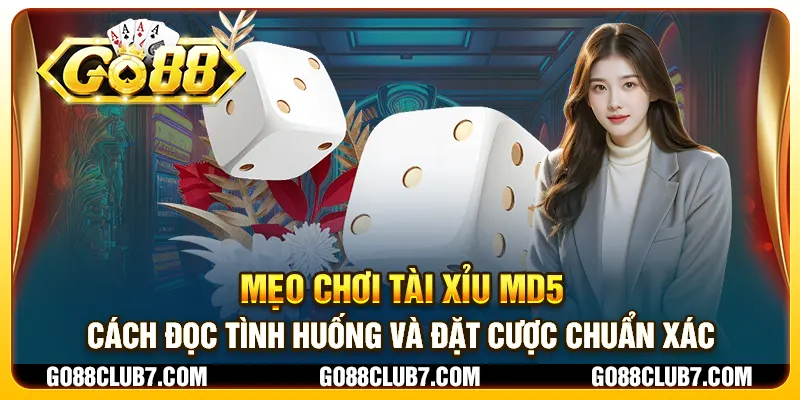 Mẹo chơi tài xỉu MD5 - Cách đọc tình huống và đặt cược chuẩn xác